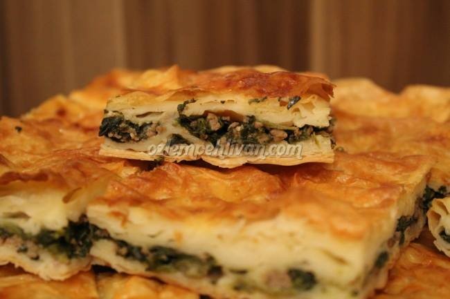 Ispanaklı Kıymalı Börek